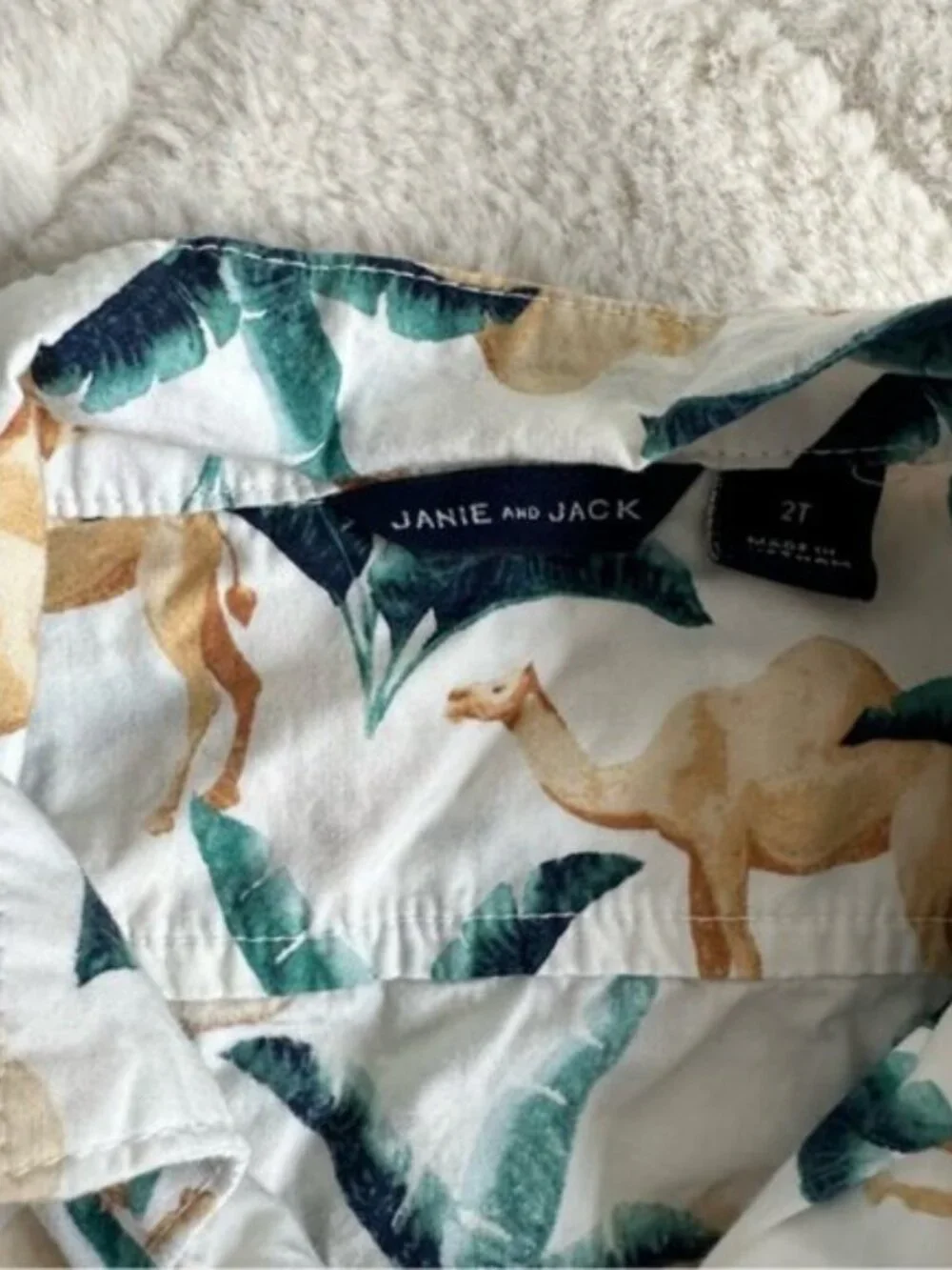 Janie & Jack | Boys Poplin Camel Print Shirt & Swim Trunks | Size 2T/18-24 Month